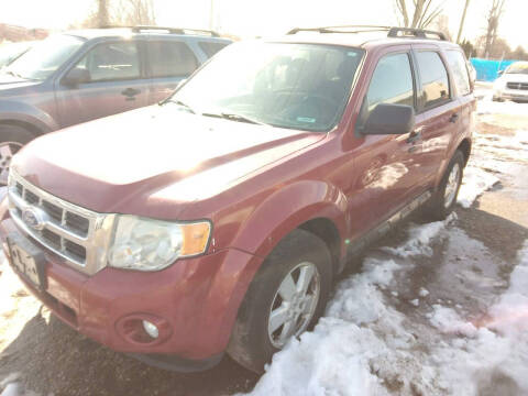 2011 Ford Escape XLT