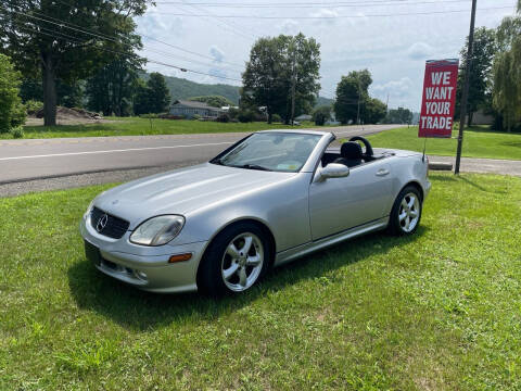 2003 Mercedes-Benz SLK for sale at Brush & Palette Auto in Candor NY