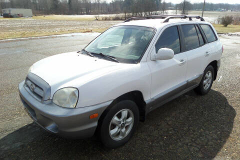 2006 Hyundai Santa Fe for sale at WESTERN RESERVE AUTO SALES in Beloit OH