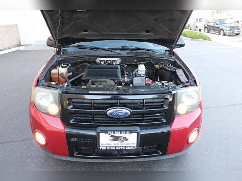 2010 Ford Escape XLT