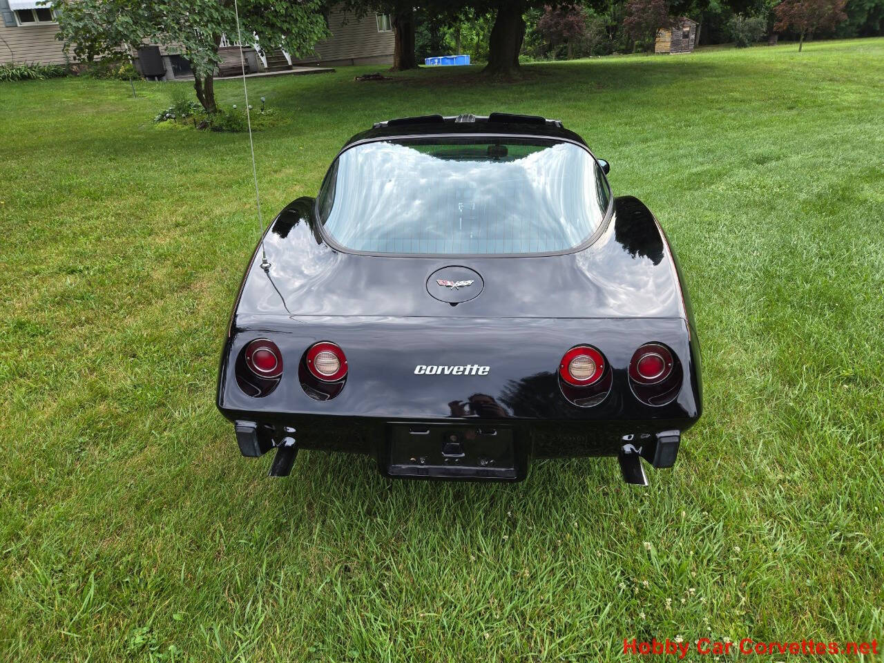 1979 Chevrolet Corvette 12