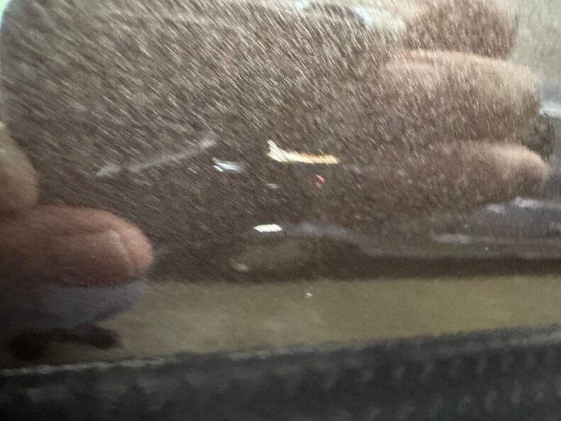 1972 Ford Thunderbird