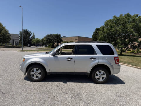 2010 Ford Escape XLT