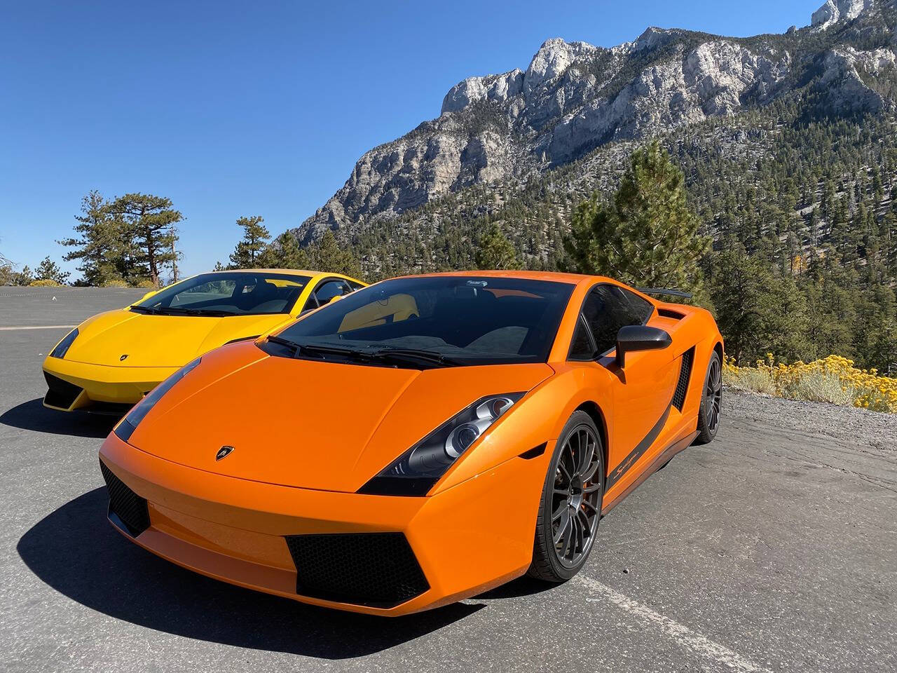 2008 Lamborghini Gallardo for sale at Flemingstoke in Costa Mesa, CA