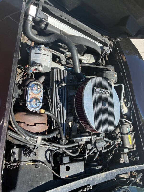 1981 Chevrolet Corvette