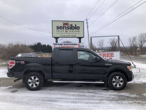 2014 Ford F-150 for sale at Sensible Sales & Leasing in Fredonia NY