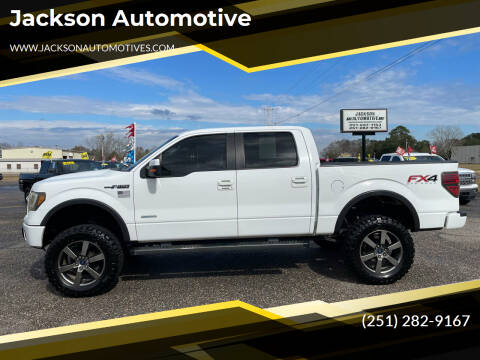 2013 Ford F-150 for sale at Jackson Automotive in Jackson AL