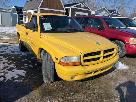 1999 Dodge Dakota for sale at HEDGES USED CARS in Carleton MI