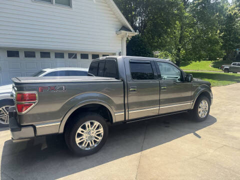 2013 Ford F-150 Platinum