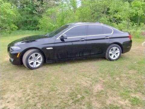 2013 BMW 5 Series for sale at Expressway Auto Auction in Howard City MI