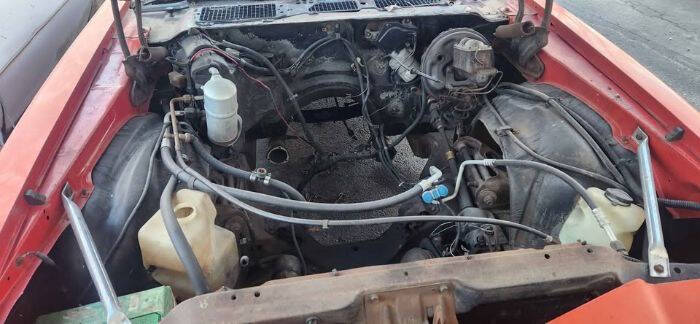 1977 Chevrolet Camaro