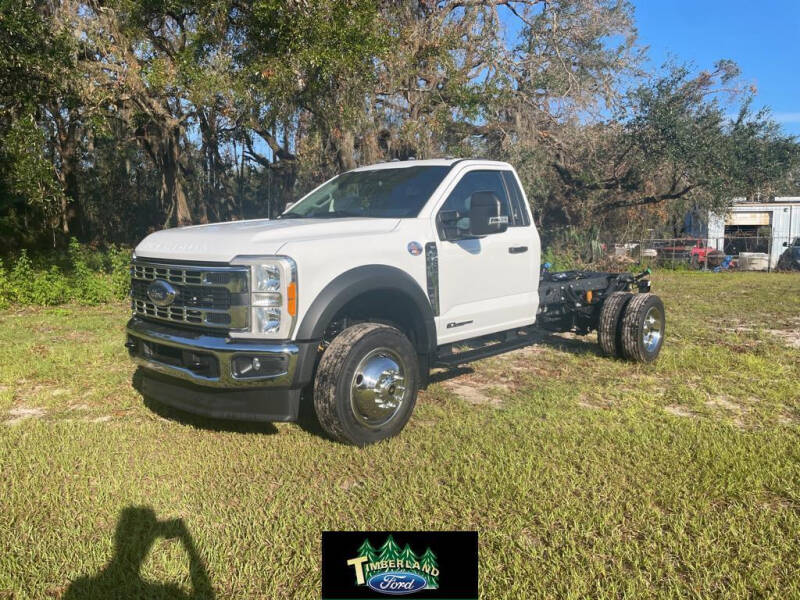 2023 Ford F-450 Super Duty for sale at TIMBERLAND FORD in Perry FL