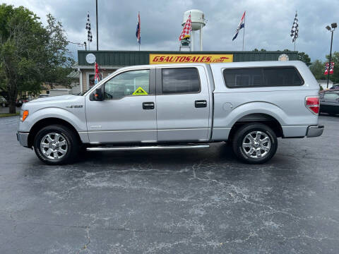 2014 Ford F-150 for sale at G and S Auto Sales in Ardmore TN