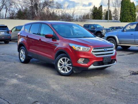 2019 Ford Escape for sale at Miller Auto Sales in Saint Louis MI