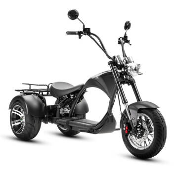 2023 Eahora M1P TRIKE CHOPPER