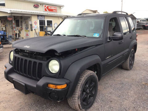2003 Jeep Liberty for sale at Troy's Auto Sales in Dornsife PA
