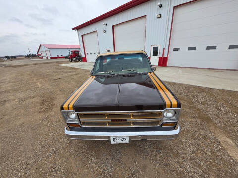1976 GMC CK 1500 Series