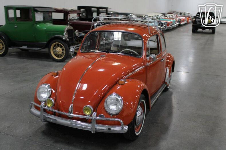 1965 Volkswagen Beetle