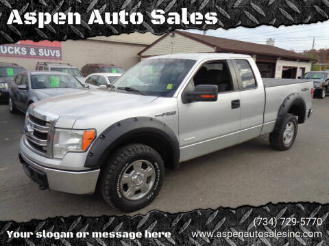 2013 Ford F-150 for sale at Aspen Auto Sales in Wayne MI