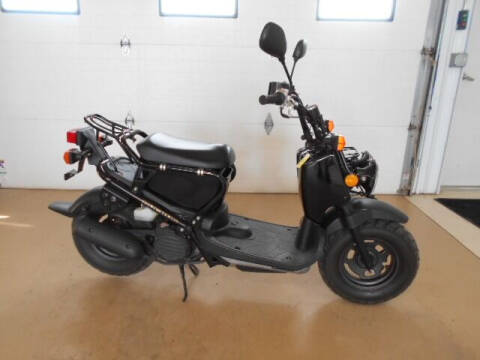 Honda Ruckus Image