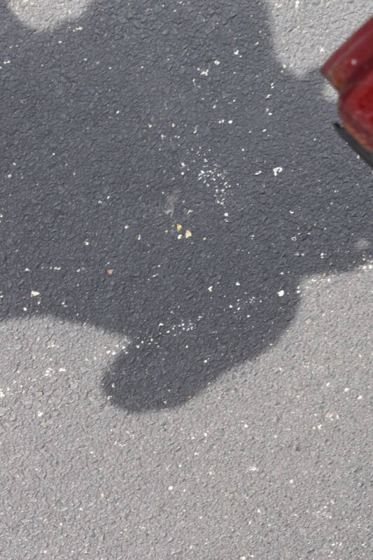 2009 Dodge Ram 1500 SLT