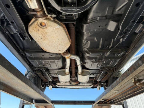 1981 Pontiac Firebird Trans Am