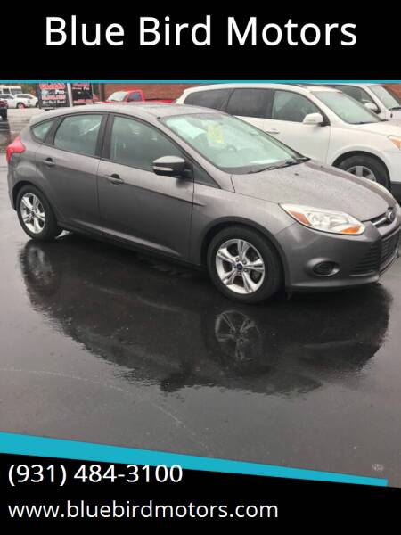 2014 Ford Focus for sale at Blue Bird Motors in Crossville TN