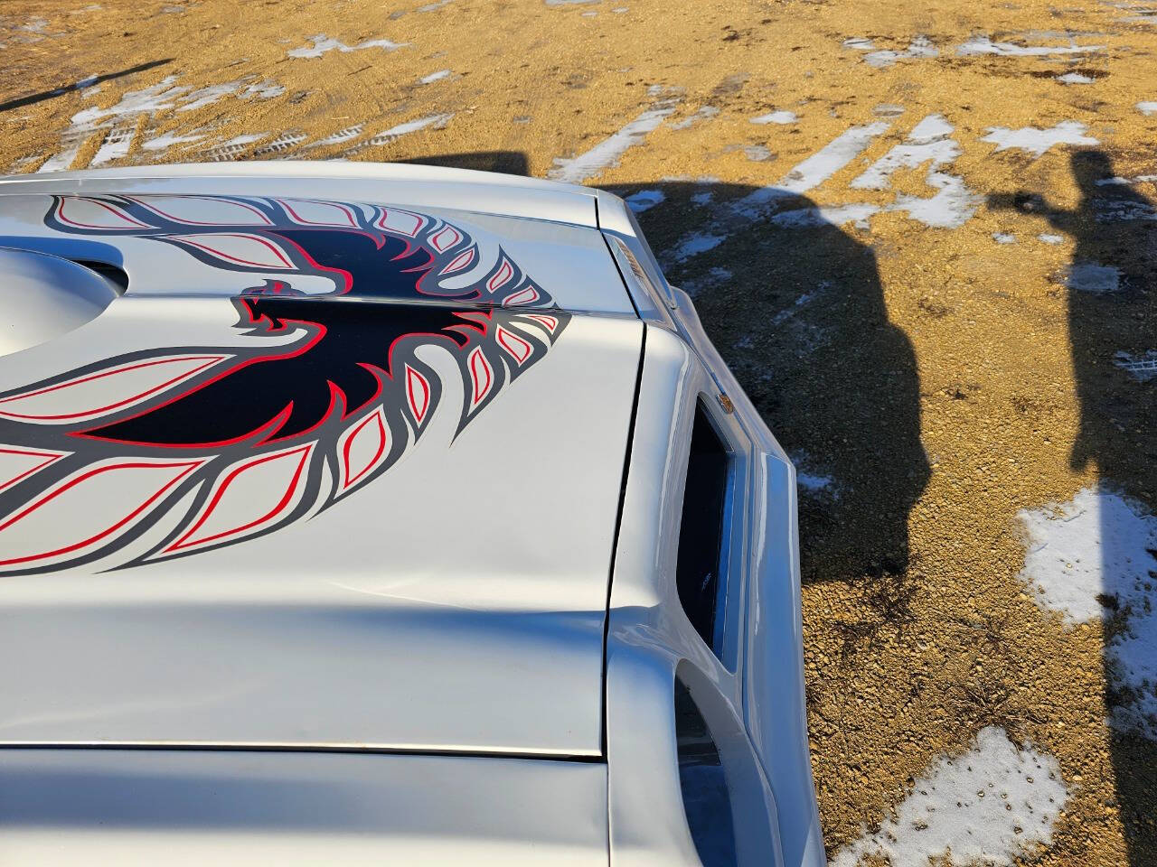 1976 Pontiac Trans Am 250