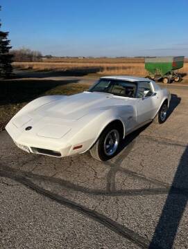 1974 Chevrolet Corvette for sale at Hooked On Classics in Excelsior MN