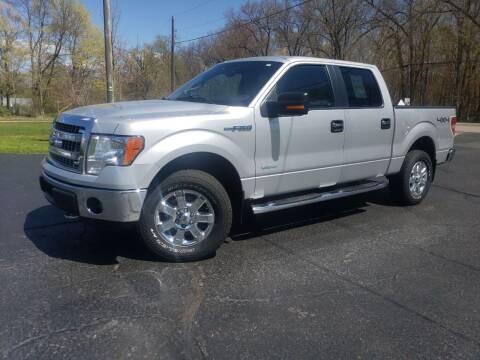 2014 Ford F-150 for sale at Depue Auto Sales Inc in Paw Paw MI