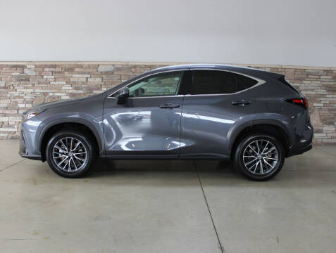 2022 Lexus NX 250 for sale at Bud & Doug Walters Auto Sales in Kalamazoo MI