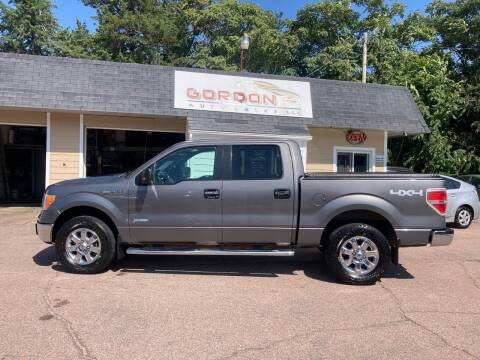 2013 Ford F-150 for sale at Gordon Auto Sales LLC in Sioux City IA