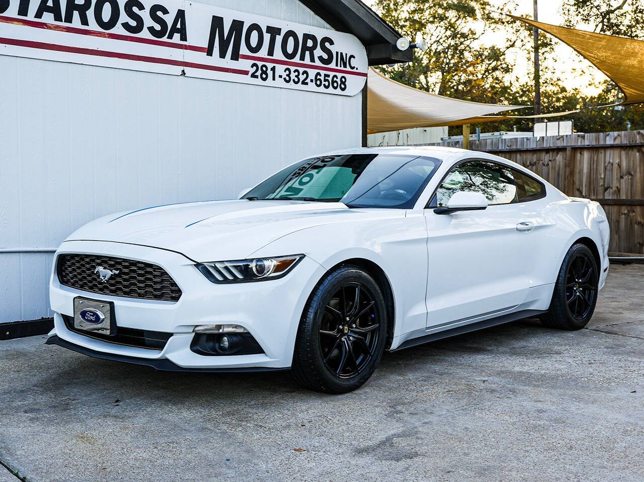 2015 Ford Mustang for sale at Testarossa Motors in League City, TX