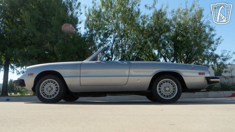 1976 Alfa Romeo Spider