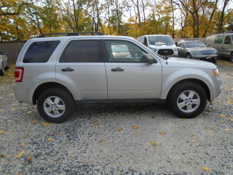 2009 Ford Escape XLT