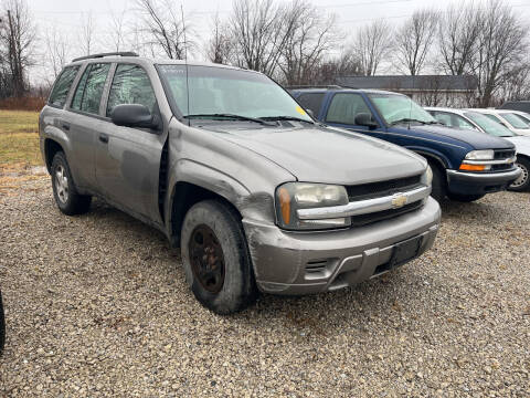 2005 Chevrolet TrailBlazer for sale at HEDGES USED CARS in Carleton MI