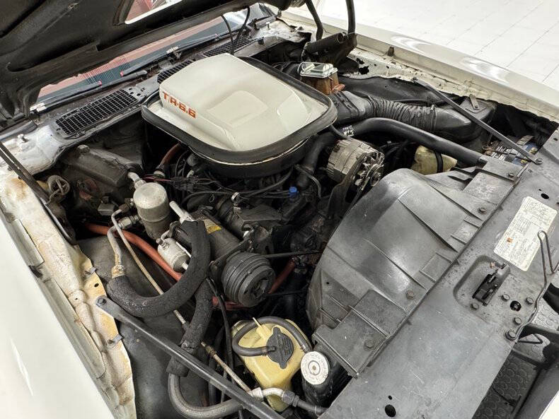 1979 Pontiac Firebird
