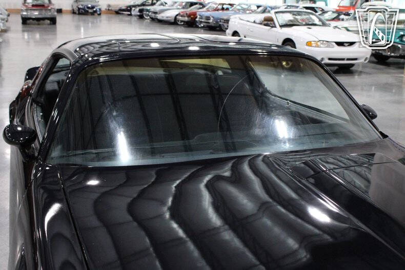 1981 Pontiac Firebird Trans Am