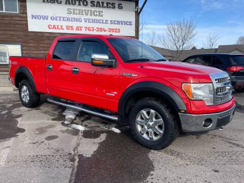 2013 Ford F-150 for sale at H & G AUTO SALES LLC in Princeton MN