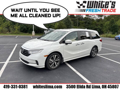 2022 Honda Odyssey for sale at White's Honda Toyota of Lima in Lima OH