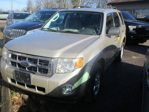 2010 Ford Escape XLT