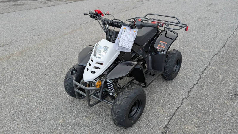 2025 TrailMaster Mini 110 Sport