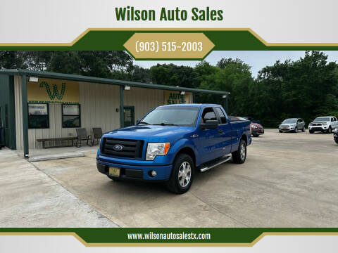 2010 Ford F-150 for sale at Wilson Auto Sales in Chandler TX