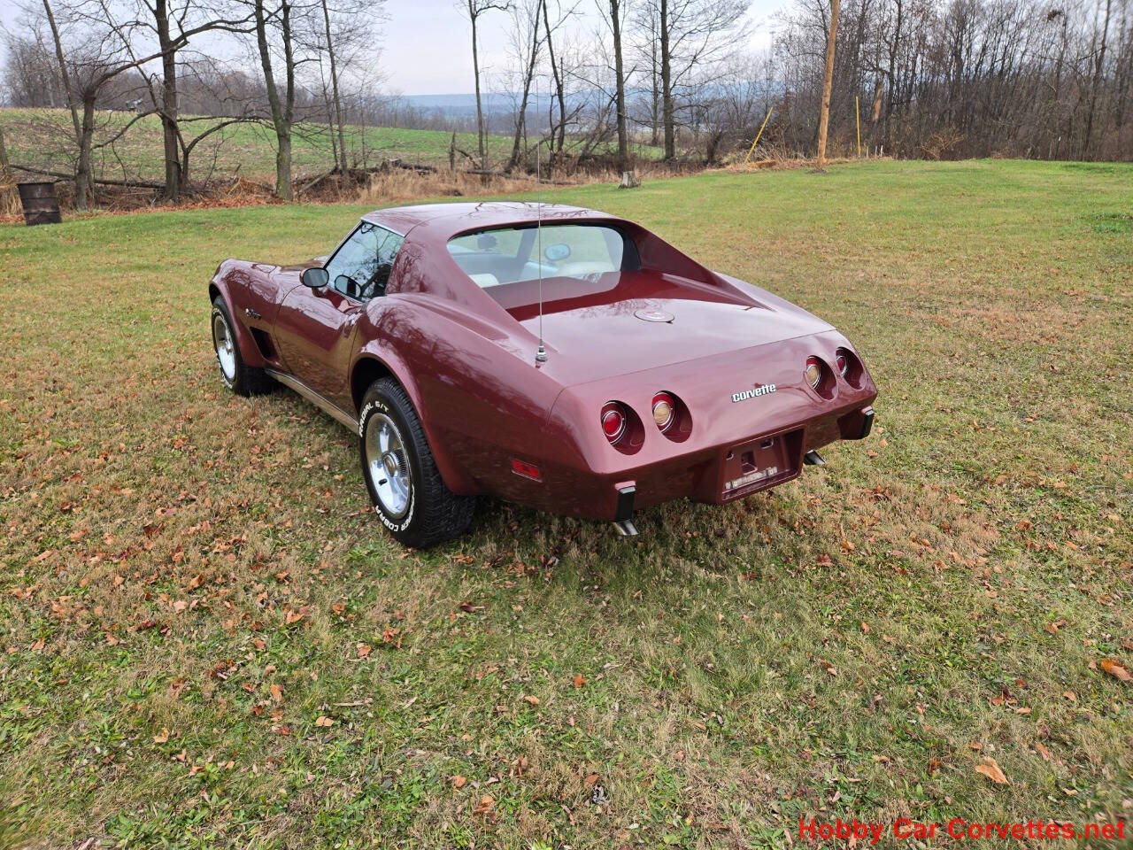 1976 Chevrolet Corvette 6