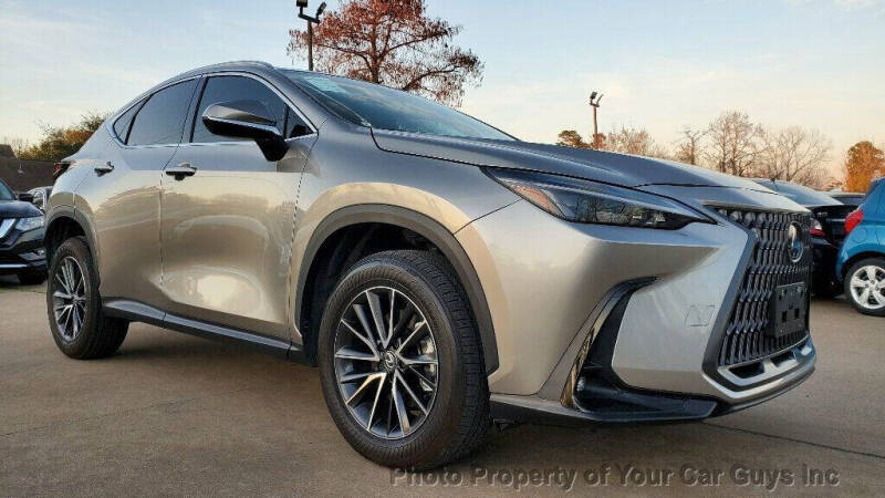 2024 Lexus NX 250
