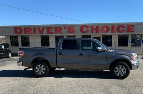 2014 Ford F-150 for sale at Drivers Choice in Bonham TX