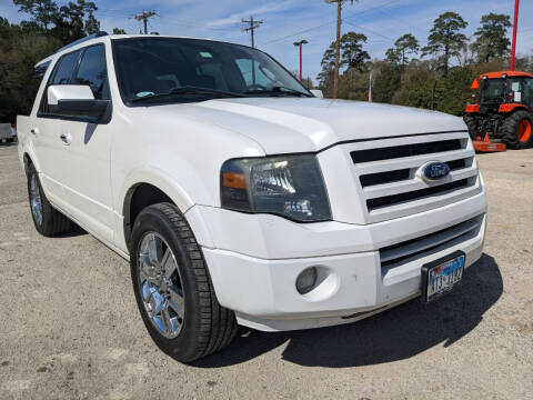 2010 Ford Expedition for sale at Park and Sell in Conroe TX