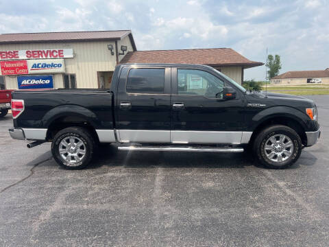 2012 Ford F-150 for sale at Pro Source Auto Sales in Otterbein IN