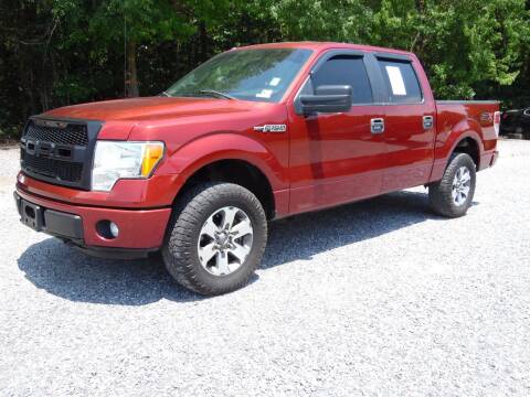2014 Ford F-150 for sale at Williams Auto & Truck Sales in Cherryville NC