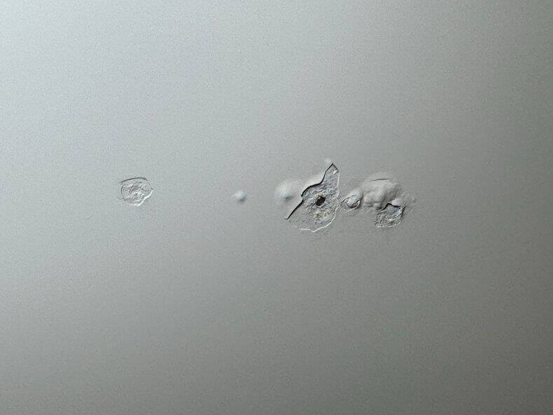 1964 Pontiac Catalina